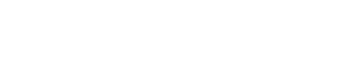 MetroNet